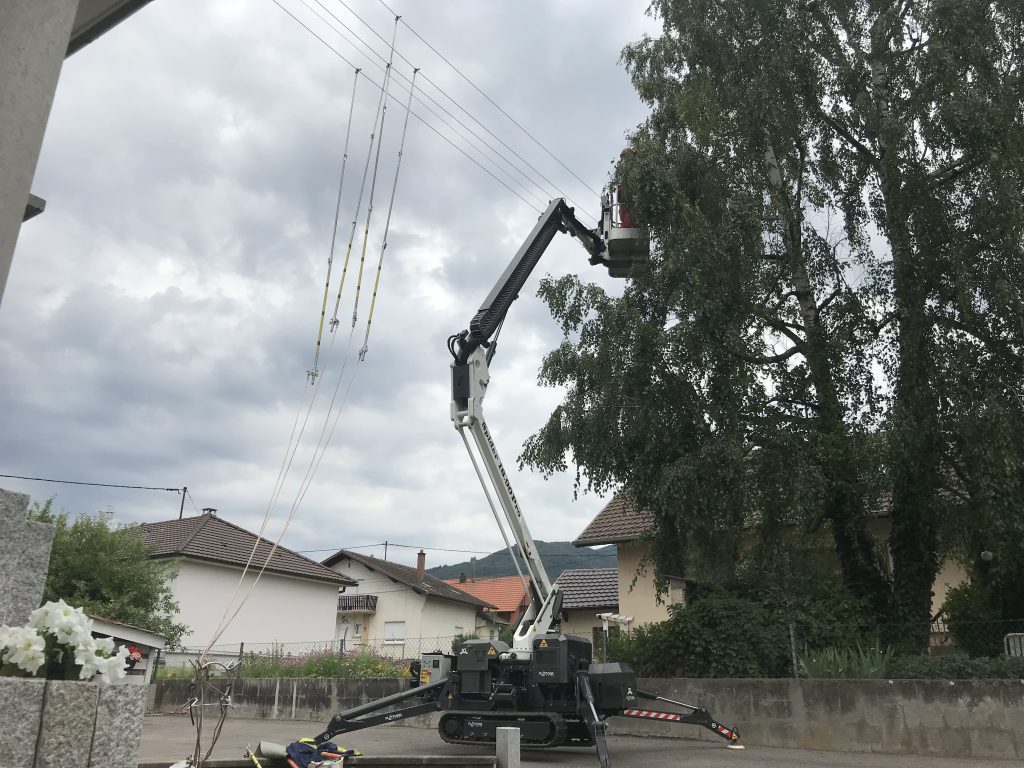 Entretien arbres en Alsace