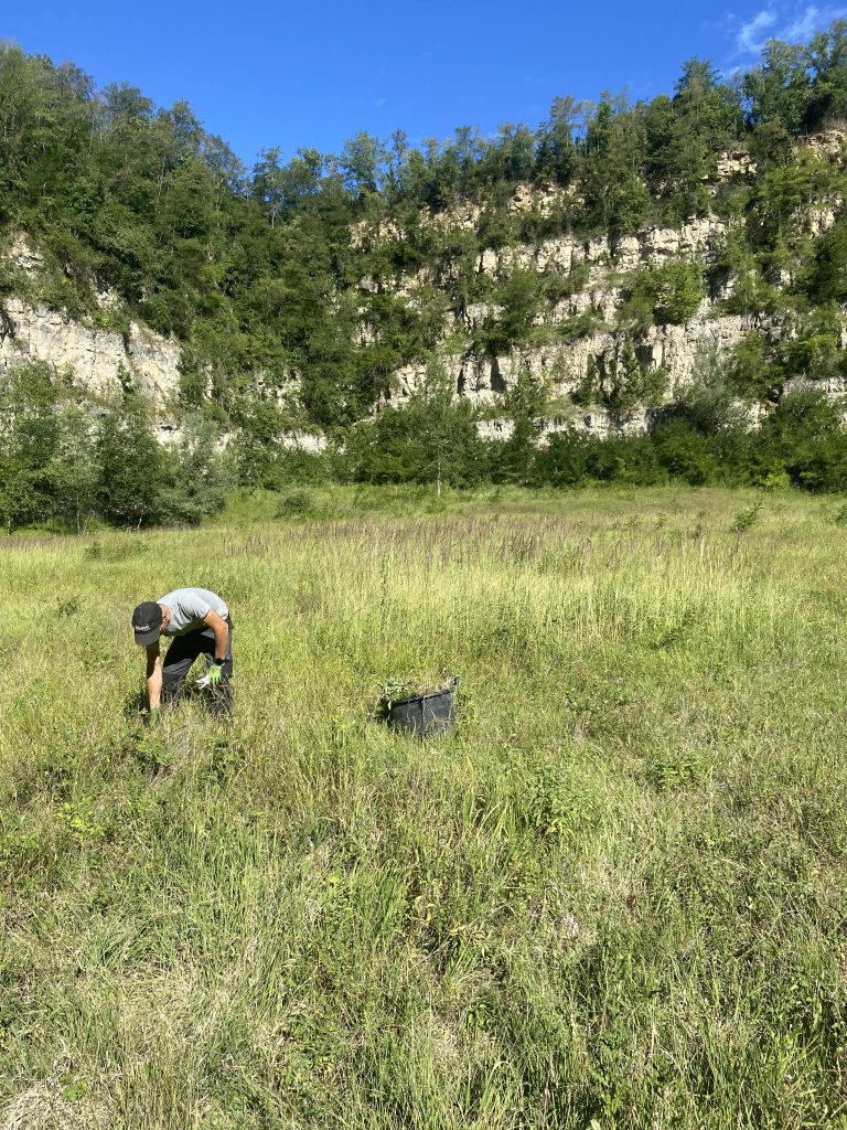 Entretien des espaces naturels Haut-Rhin